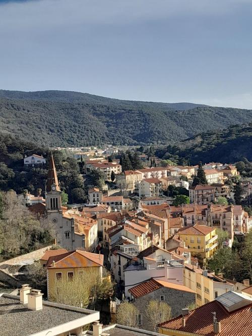 Amélie-les-Bains - location curiste LC-3823 n°14